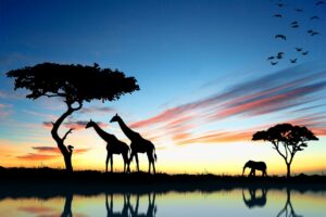 Sydafrika