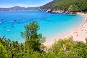 Ibiza Cala de Sant Vicent caleta de san vicente