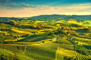 Langhe vineyards sunset panorama, Grinzane Covour, Piedmont, Ita