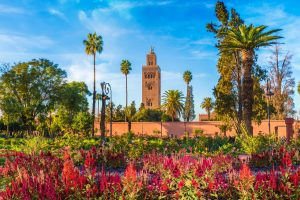 View,Of,Koutoubia,Mosque,And,Gardem,In,Marrakesh,,Morocco