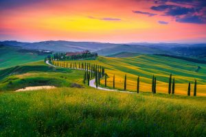 Amazing,Summer,Colorful,Sunset,Landscape,In,Tuscany.,Spectacular,Flowery,Grain