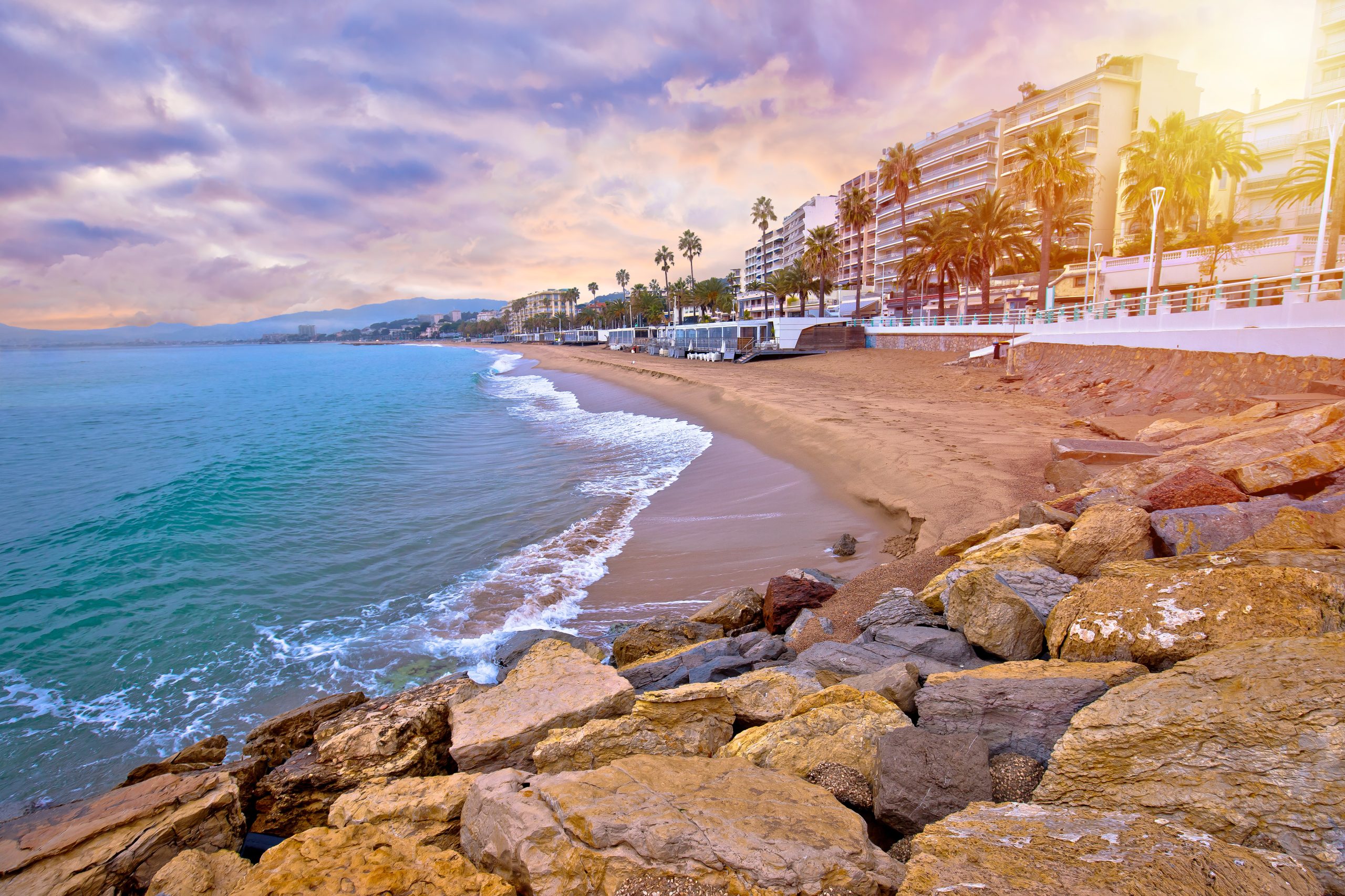 Cannes app
