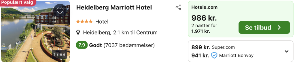 Hotel Heidelberg - Rejs365