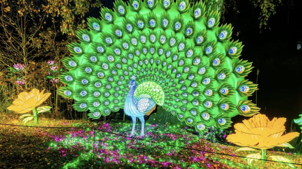 Serengeti Park - Rejs365