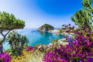71230Ischia indtryk7362_1459638912861159_4754897082873740211_n