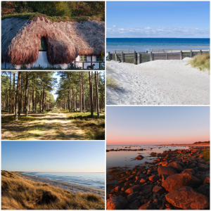 Læsø