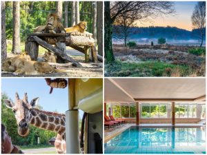 Hotel Heide Kröpke Serengeti