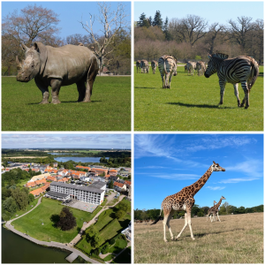 Knuthenborg Safaripark tilbud