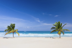 Punta Cana tilbud
